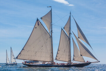 USA, Massachusetts, Cape Ann, Gloucester. Gloucester Schooner Festival, schooner parade of sail.