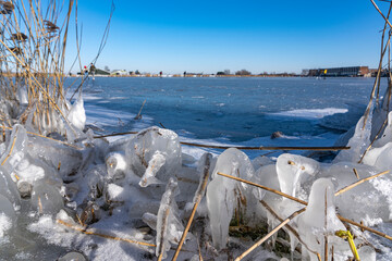 Along the sides of this lake in Zoetermeer, the reeds have been transformed into large ice lumps