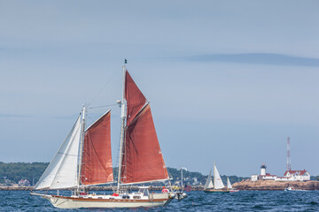 USA, Massachusetts, Cape Ann, Gloucester. Gloucester Schooner Festival, schooner parade of sail.