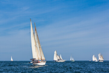 USA, Massachusetts, Cape Ann, Gloucester. Gloucester Schooner Festival, schooner parade of sail.