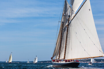 USA, Massachusetts, Cape Ann, Gloucester. Gloucester Schooner Festival, schooner parade of sail.