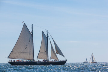 USA, Massachusetts, Cape Ann, Gloucester. Gloucester Schooner Festival, schooner parade of sail.