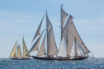 USA, Massachusetts, Cape Ann, Gloucester. Gloucester Schooner Festival, schooner parade of sail.