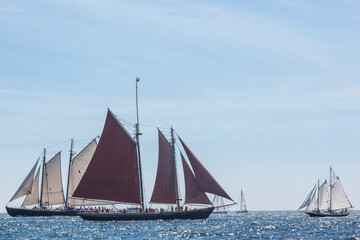 USA, Massachusetts, Cape Ann, Gloucester. Gloucester Schooner Festival, schooner parade of sail.