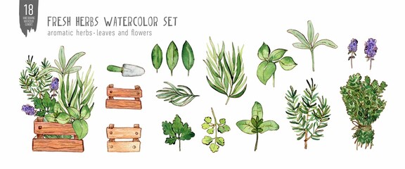 Watercolor and ink herbs set isolated on white.  Colorfull set for design a textile, wallpapers, print and banners.