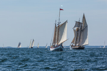 Obraz na płótnie Canvas USA, Massachusetts, Cape Ann, Gloucester. Gloucester Schooner Festival, schooner parade of sail.