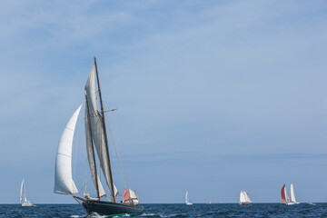 USA, Massachusetts, Cape Ann, Gloucester. Gloucester Schooner Festival, schooner parade of sail.