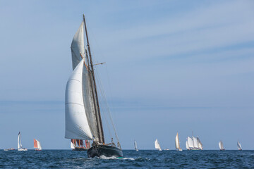 Obraz premium USA, Massachusetts, Cape Ann, Gloucester. Gloucester Schooner Festival, schooner parade of sail.
