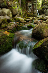 waterfall in the forest