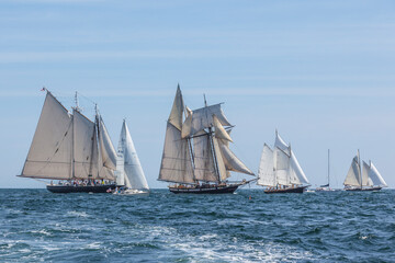 USA, Massachusetts, Cape Ann, Gloucester. Gloucester Schooner Festival, schooner parade of sail.