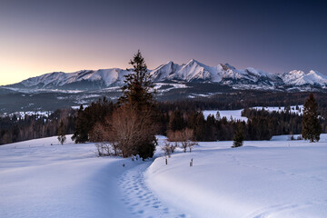 winter landscape in the mountains