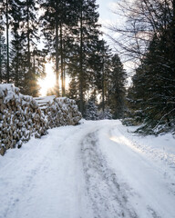 snowy road in winter forest