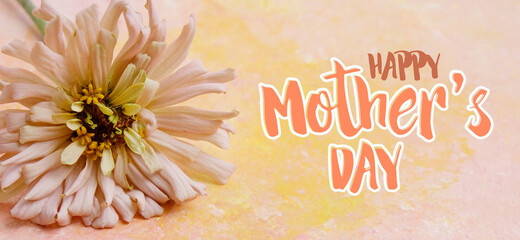 Mother's day card with Zinnia flower close up.