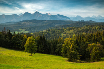 landscape in the summer