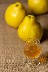 Homemade quince liqueur. Fresh quince.