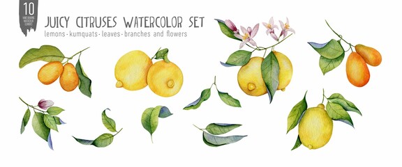 Hand drawn juicy citruses watercolor set isolated on white