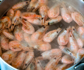 The prawns are boiled in a saucepan on a gas stove.