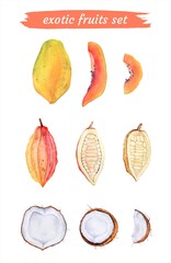 Fresh papaya, cocoa and coconuts watercolor set, halves, slices. Handdrawn tropical fruits and nuts.