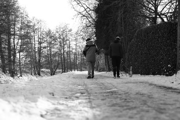 people walking in the snow