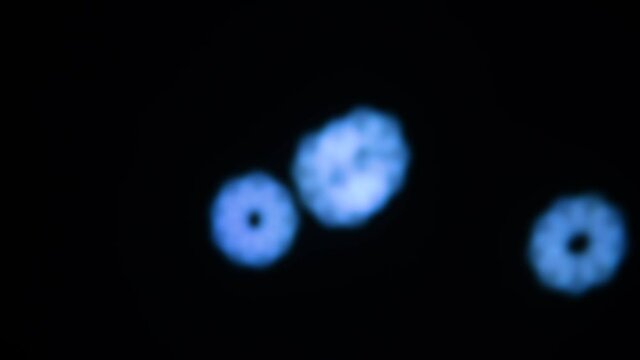 Abstract blurry, flashing light shapes bouncing on a black wall. Vivid, colourful disco light effects with different shapes, dots and forms are dancing on the wall