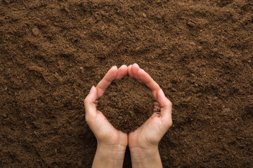 Young adult woman palms holding pile of dark brown dry soil. Care about environment or agriculture....