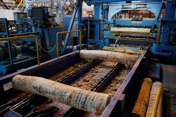 Wood processing at a sawmill. Preparation of a log for the production of plywood and veneer, sawing...