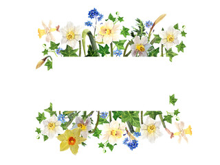 Spring watercolor frame, white flowers, narcissus on white background