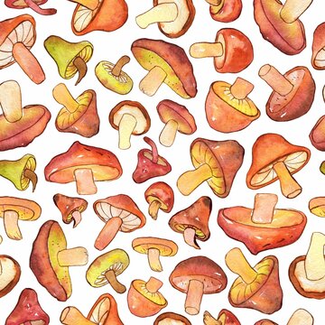 Watercolor and ink red mushrooms pattern on white. Seamless pattern with wild mushrooms. Colorfull background for textile, wallpapers, print and banners.