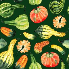 Watercolor and ink pumpkin and gourds pattern on dark green. Seamless pattern with fresh veggies. Colorfull background for textile, wallpapers, print and banners.