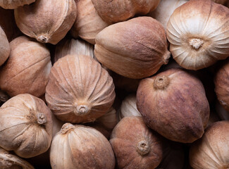 macro shot of exotic spice white cardamon from China in details and with high magnification very close. Ideal food and spice background