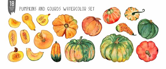 Watercolor and ink pumpkins and gourds set isolated on white.  Colorfull set for design a textile, wallpapers, print and banners.