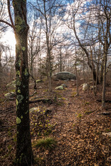 USA, Massachusetts, Cape Ann, Gloucester. Dogtown Rocks, inspirational saying carved on boulders in...