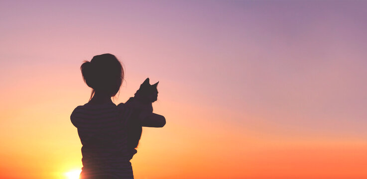 Blurry image of silhouettes of a girl and cat, beautiful sunset background, horizontal banner. Pet and owner. People, travel, animals, pets concept. 