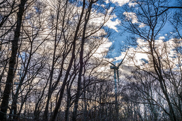 USA, Massachusetts, Cape Ann, Gloucester. Dogtown Commons, view of the wind turbines.