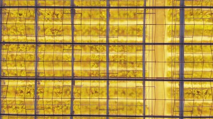 Aerial side view of large industrial greenhouses for growing plants in winter. light pollution. winter day at sunset. Flying along modern plantation glasshouse area. growing plants vegetables flowers