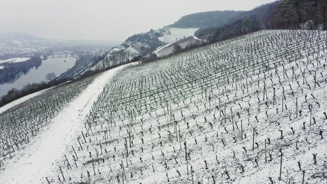 Aerial View Of Vineyards Mainfranken region, W&uuml;rzburg, Germany. Vineyards on hills covered with 