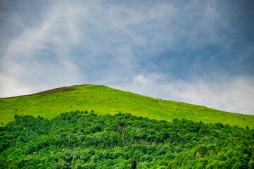 Fototapeta premium the mountain green valley with blue sky