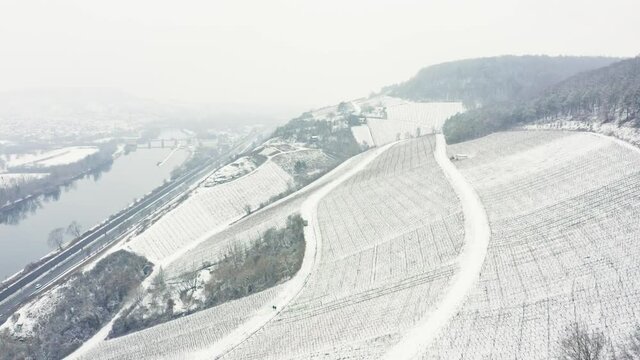 Aerial View Of Vineyards Mainfranken region, W&uuml;rzburg, Germany. Vineyards on hills covered with 