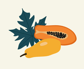 Fototapeta premium Vector illustration of papaya and papaya leaves, isolated on beige. Concept of healthy eating, exotic fruit. Hand-drawn illustration in flat style.