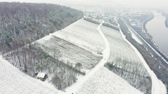 Aerial View Of Vineyards Mainfranken region, W&uuml;rzburg, Germany. Vineyards on hills covered with 