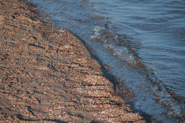 Beach Sand