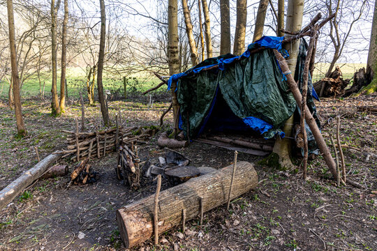Primitive Survival Shelter In The Forest
