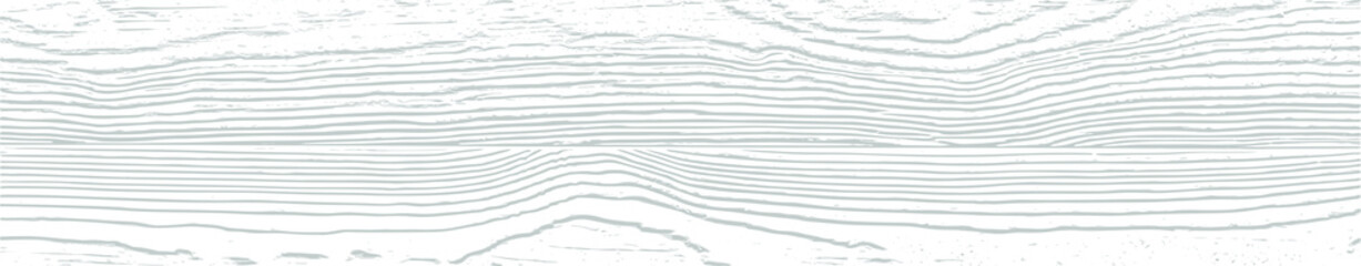 Vector white wood panel texture for backgrounds or design. Rustic grayscale wooden  wallpaper. White washed wood. Table top view. EPS10