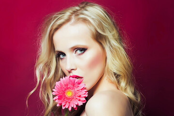 Closeup afce portrait of beautiful passionate blonde woman holding gerbera flower near face isoalted on pink.