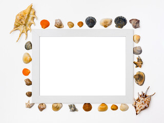 Many seashells lie around a white frame on a white background. Inside a white frame there is an empty white background.