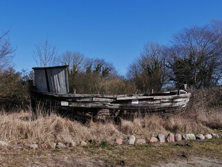 Ruine eines Holzboots im Schilf