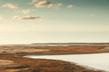 USA, Massachusetts, Cape Cod, Eastham. Fort Hill, Nauset Marsh.