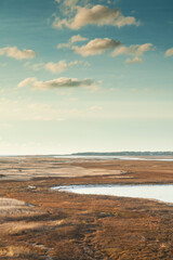 USA, Massachusetts, Cape Cod, Eastham. Fort Hill, Nauset Marsh.