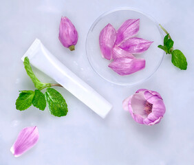Cosmetic skincare background. Herbal medicine with magnolia flowers and lavender. Petri dishes, cosmetics tubes. Natural skincare background