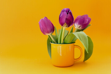 Bouquet of lilac tulips in a yellow cup on a yellow background, side view